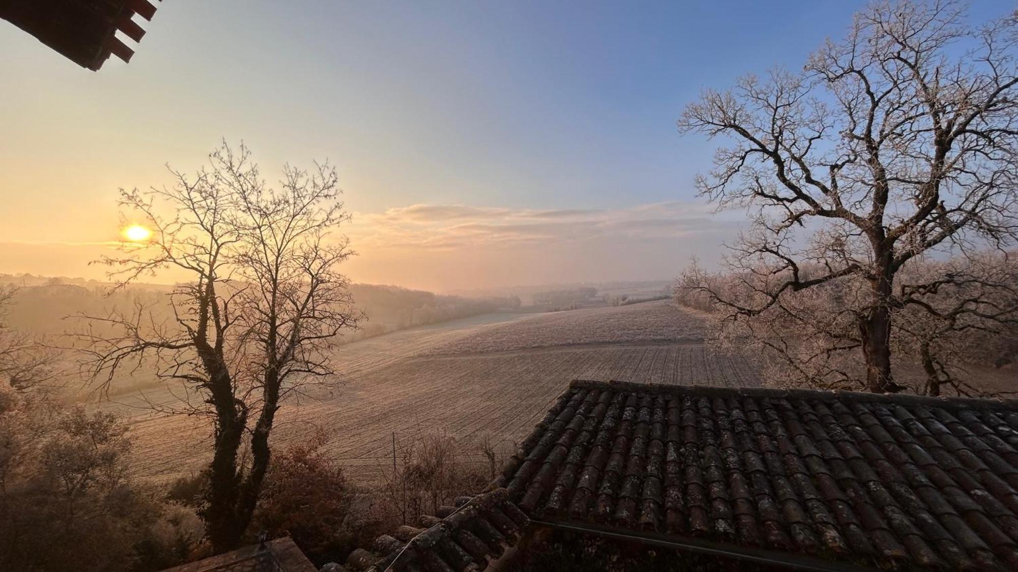 Chambres D'Hotes Dans Un Chateau Au Coeur De La Toscane Occitane Albi-Cordes-Rabastens Senouillac 외부 사진